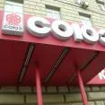 Автограф-сессия в муз.магазине "СОЮЗ" (г.Москва), сентябрь 2009